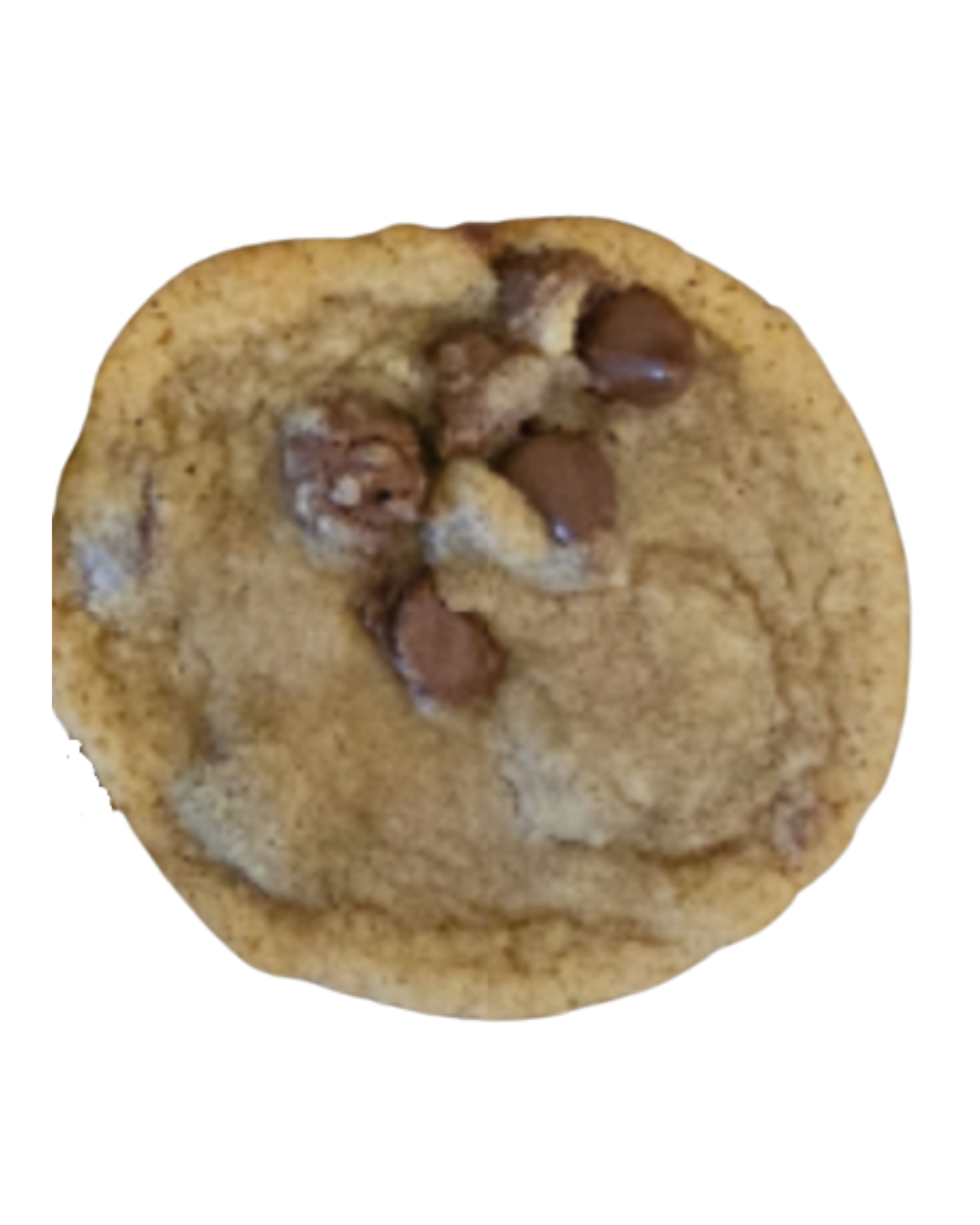 1 Chocolate Chip Cookie